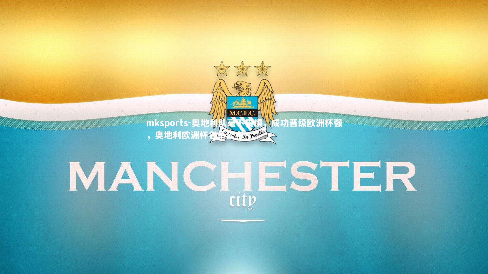 mksports-奥地利队毫不畏惧，成功晋级欧洲杯强，奥地利欧洲杯名单公布-第2张图片-mksports